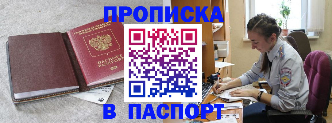 где прописаться в Камышине